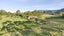 39 Upper Tukurua Road, Parapara, Takaka - Carousel 23