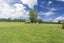 3691C State Highway 5, Reporoa - Carousel 15