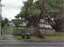 43 Erima Avenue, Point England, Auckland - Carousel 3