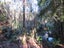 1022 Fairdown Road, Fairdown, Westport - Carousel 8