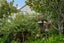 1/28 Kia Ora Road, Beach Haven, Auckland - Carousel 16