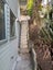 10 Laurent Place, Kingston, Wellington - Carousel 15