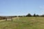 188A Powerhouse Road, Fairdown, Westport - Carousel 41