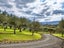265A Hot Springs Road, Tahawai, Katikati - Carousel 36