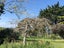 7 Broomfields Road, Howick - Carousel 5