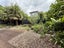72B Malvern Road, Morningside, Auckland - Carousel 15