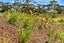 1 Odlin Lane, Red Beach, Red Beach - Carousel 11