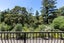 2/7 The Avenue, Albany, Auckland - Carousel 13