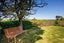 59 Waterloo Crescent, Hokowhitu, Palmerston North - Carousel 24