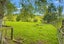 733A Bryce Road, Rotorua - Carousel 26