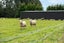 120 Myross Road, Myross Bush - Carousel 48