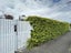 2 Peel Street, Westmere, Auckland - Carousel 1