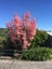 38 Brunner Street, Nelson South, Nelson - Carousel 19