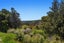 937B HEREPURU RD, Matata - Carousel 29