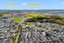 34 Greenfinch Road, Hobsonville, Auckland - Carousel 19