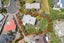 16 Cheryl Place, Hillcrest, Auckland - Carousel 4