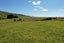 0 Tararua St, Pahiatua, Pahiatua - Carousel 10