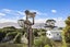 930 Harington Point Road, Harington Point, Dunedin - Carousel 36