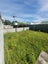 37 Wentworth Street, East Gore, Gore - Carousel 7