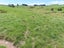 0 Church Rd, Ormondville, Dannevirke - Carousel 12