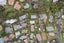 56A Gatman Street, Birkdale, Auckland - Carousel 13