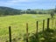 923 Oporae Road, Dannevirke - Carousel 22