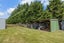 90 Neave Road, Christchurch - Carousel 39