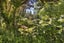 564 State Highway 53, Featherston - Carousel 24