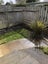 5/212 Grey Street, Hamilton East, Hamilton - Carousel 14