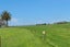 973 Tauhei Road, Morrinsville - Carousel 21