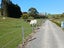 105 Willis Road, Ngahinapouri, Hamilton - Carousel 33