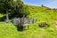 165 Sealy Road, Omata, New Plymouth - Carousel 23