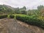 36 Colmar Road, Mellons Bay, Auckland - Carousel 2