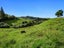 225B Woodland Road, Tahawai, Katikati - Carousel 17