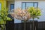 22 Trelawny Terrace, Grenada Village, Wellington - Carousel 21