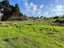 99 Komiti Road, Tinopai - Carousel 4
