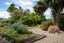 237 Blackman Road, Blackmans, Alexandra - Carousel 22