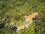910 Kenepuru Road, Picton - Carousel 10