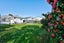 39 Albany Street, Gore, Gore - Carousel 19
