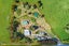 1478 State Highway 1, Whangarei - Carousel 1