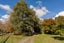 213 Horahora Road, Piarere, Tirau - Carousel 34