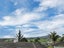 2 Puna Street, Orakei, Auckland - Carousel 9