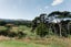 51 Pigeon Berry Lane, Kaiwaka - Carousel 28