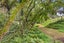 173 Thompsons Track, Aongatete, Katikati - Carousel 15