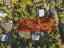 17 Giles Road, Ostend, Waiheke Island - Carousel 2