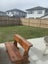 5 Ketu Way, Takanini, Auckland - Carousel 4