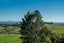 287 Rowe Road, Ohauiti, Tauranga - Carousel 39