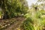 244 Corbett Road, Paraite, New Plymouth - Carousel 27