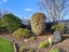 95 Taward Street, Oamaru North, Oamaru - Carousel 27