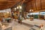 24 Durness Place, Red Beach, Red Beach - Carousel 6